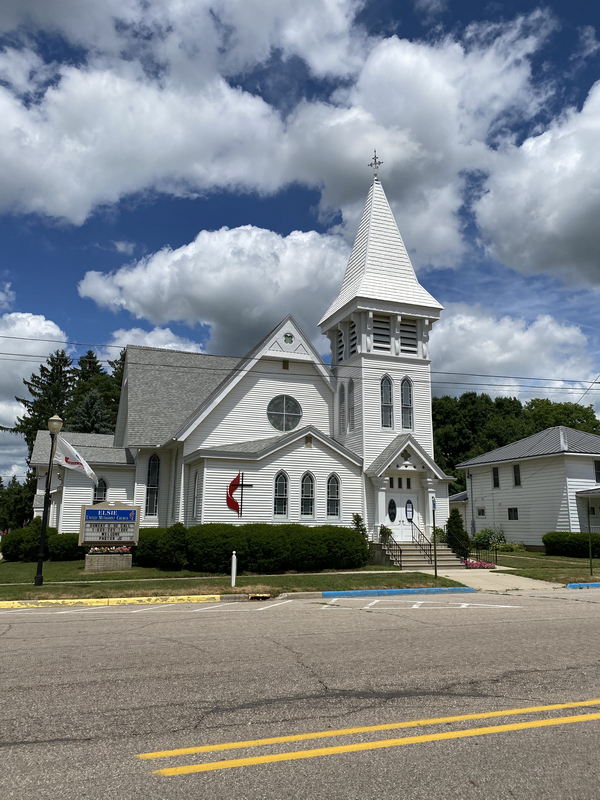 Elsie - July 12 2020 (newer photo)